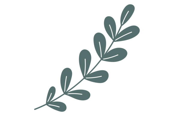 Decorative Leaves Branch. Floral Print S: Graphics & Illustrations Review