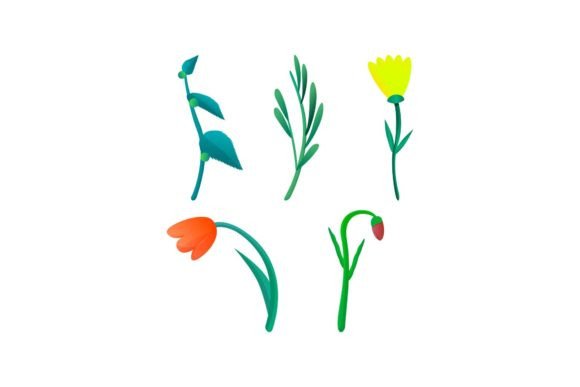 Plant Floral Nature Graphics and Illustrations for Local Brands